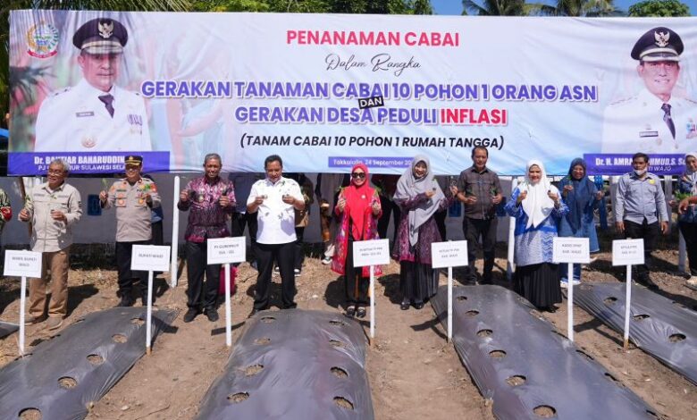 PKK Sulsel Diminta Turut Serta Sukseskan Gerakan Tanam Cabai PKK Sulsel Diminta Turut Serta Sukseskan Gerakan Tanam Cabai