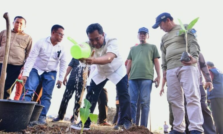 Sulsel Undang Pihak Swasta Berinvestasi di Budidaya Pisang Sulsel Undang Pihak Swasta Berinvestasi di Budidaya Pisang
