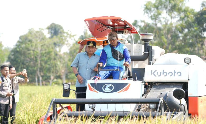 Panen Raya di Gowa, Sulsel Sukses Tangani Dampak El Nino Panen Raya di Gowa, Sulsel Sukses Tangani Dampak El Nino