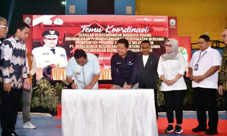Pemprov Sulsel Teken Kerjasama Pengembangan Budidaya Pisang dengan PTPN XIV Pemprov Sulsel Teken Kerjasama Pengembangan Budidaya Pisang dengan PTPN XIV