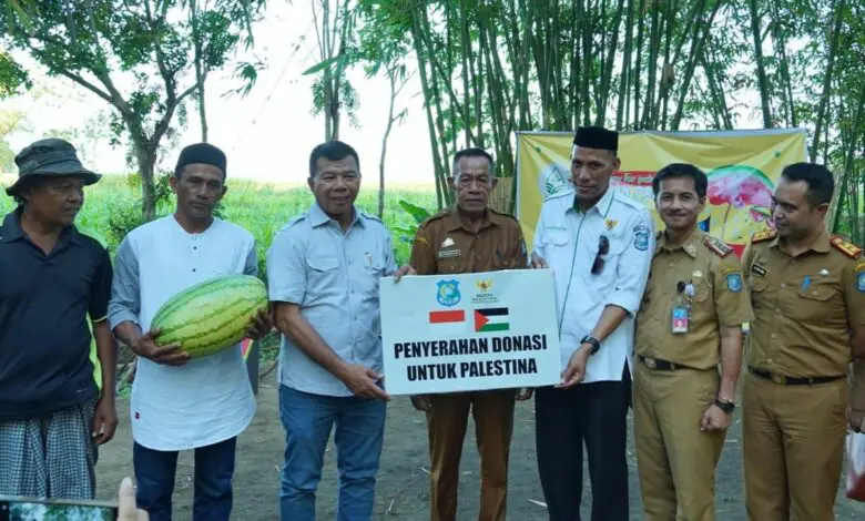 Lelang Untuk Donasi Palestina, Bupati Bulukumba Tawar Semangka Rp60 Juta Lelang Untuk Donasi Palestina, Bupati Bulukumba Tawar Semangka Rp60 Juta