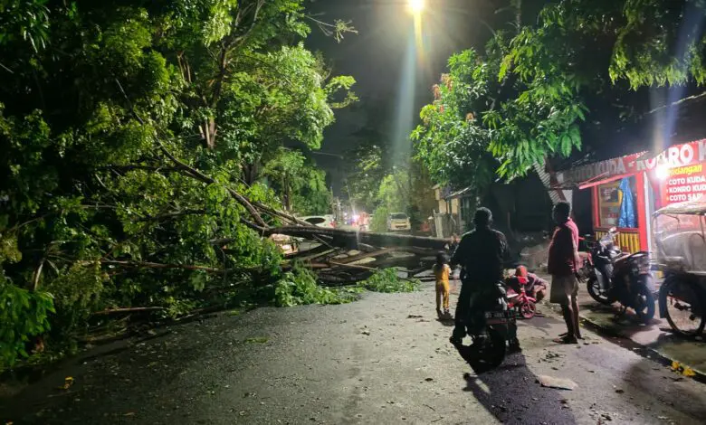 Hujan dan Angin Kencang di Makassar Robohkan Pohon Hujan dan Angin Kencang di Makassar Robohkan Pohon