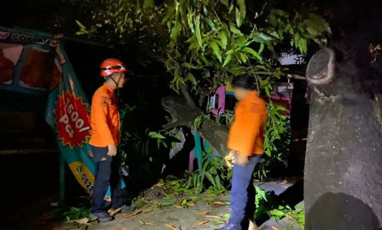 Cuaca Ekstrem, Pj Gubernur Sulsel Imbau Masyarakat Waspada Cuaca Ekstrem, Pj Gubernur Sulsel Imbau Masyarakat Waspada