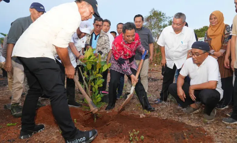 Pj Gubernur Sulsel Apresiasi Bupati Bulukumba Bantu Jaga Ketahanan Pangan Pj Gubernur Sulsel Apresiasi Bupati Bulukumba Bantu Jaga Ketahanan Pangan