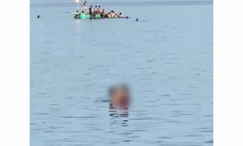 Viral Video Sejoli Diduga Bercumbu saat Berenang Pantai Mattiro Tasi Parepare Viral Video Sejoli Diduga Bercumbu saat Berenang Pantai Mattiro Tasi Parepare