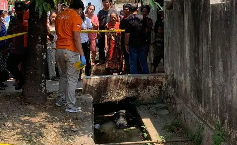 Mayat Ditemukan Dalam Selokan Hebohkan Warga Mayat Ditemukan Dalam Selokan Hebohkan Warga