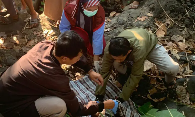 Miris, Warga Bantaeng Temukan Jasad Bayi yang Sedang Dimakan Biawak Miris, Warga Bantaeng Temukan Jasad Bayi yang Sedang Dimakan Biawak