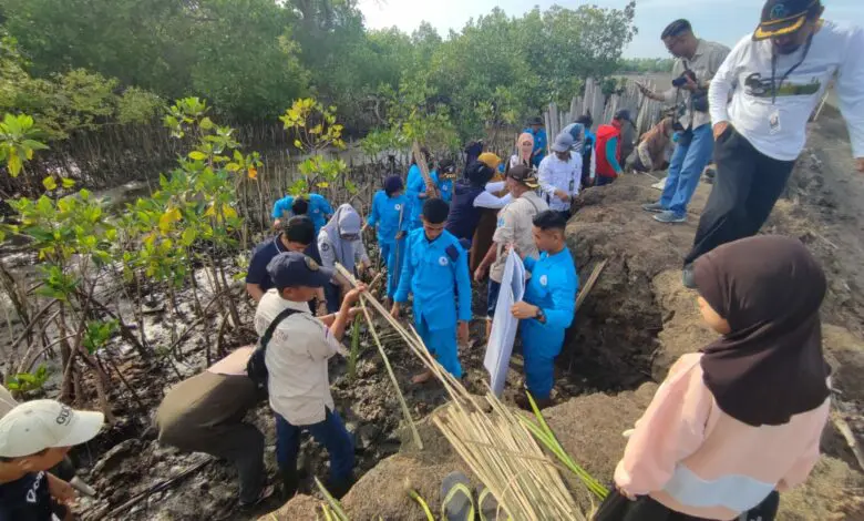 DKP Sulsel Tanam 78 Ribu Mangrove di Bone DKP Sulsel Tanam 78 Ribu Mangrove di Bone