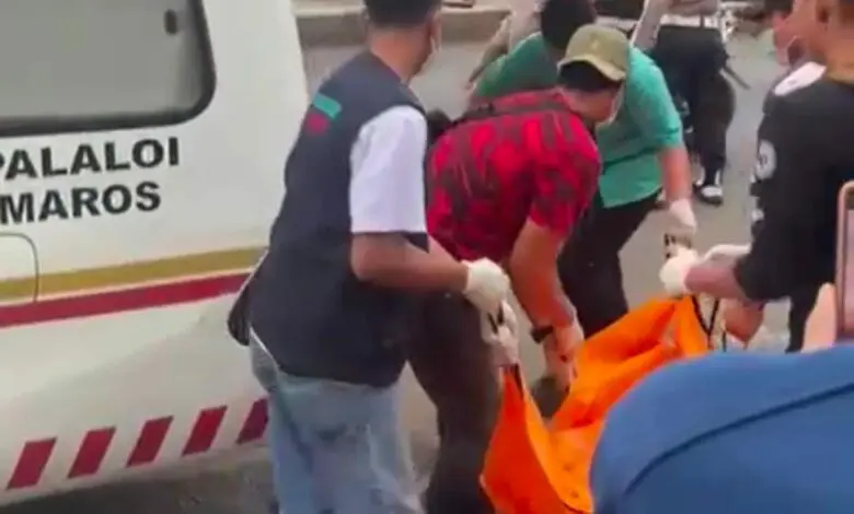 Kronologis Pembunuhan Sadis di Maros, Ini Ciri-ciri Pelaku Kronologis Pembunuhan Sadis di Maros, Ini Ciri-ciri Pelaku