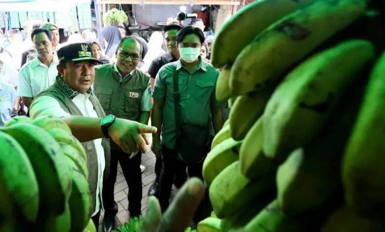 Pj Gubernur Cek Harga Komoditi di Pasar Panampu Pj Gubernur Cek Harga Komoditi di Pasar Panampu