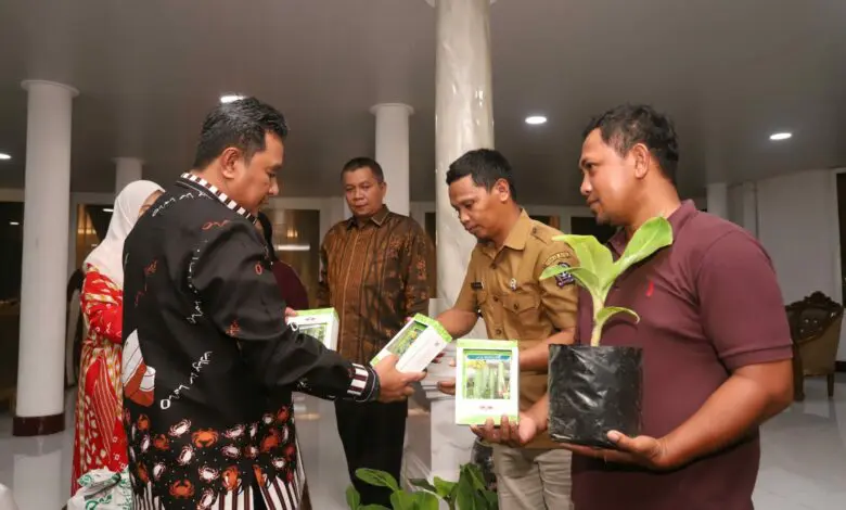 Desa Bonto Masunggu Bone Siapkan Lahan 400 Hektare Tanam Pisang Cavendish Desa Bonto Masunggu Bone Siapkan Lahan 400 Hektare Tanam Pisang Cavendish