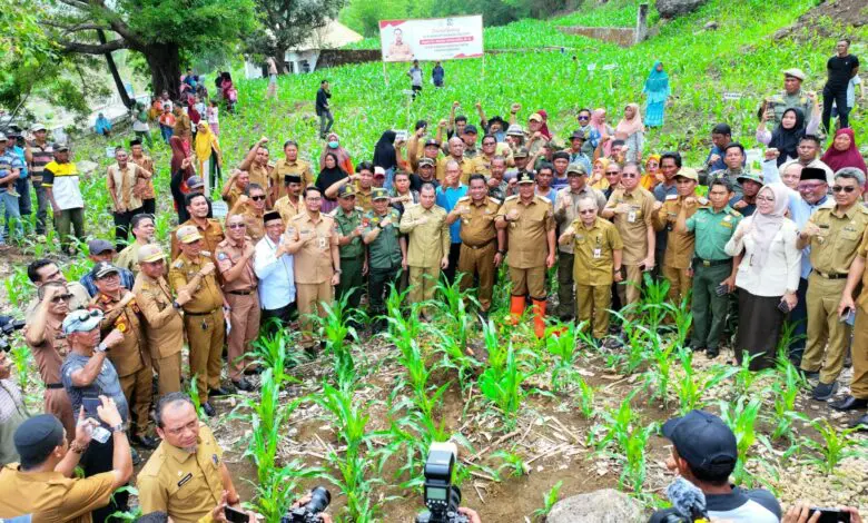 Kades di Jeneponto Siapkan Lahan 6.000 Hektare Dukung Program Pemprov Sulsel Kades di Jeneponto Siapkan Lahan 6.000 Hektare Dukung Program Pemprov Sulsel
