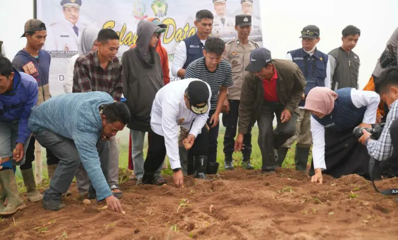 Janji Pj Gubernur Sulsel Bantu Petani Kentang di Gowa Janji Pj Gubernur Sulsel Bantu Petani Kentang di Gowa