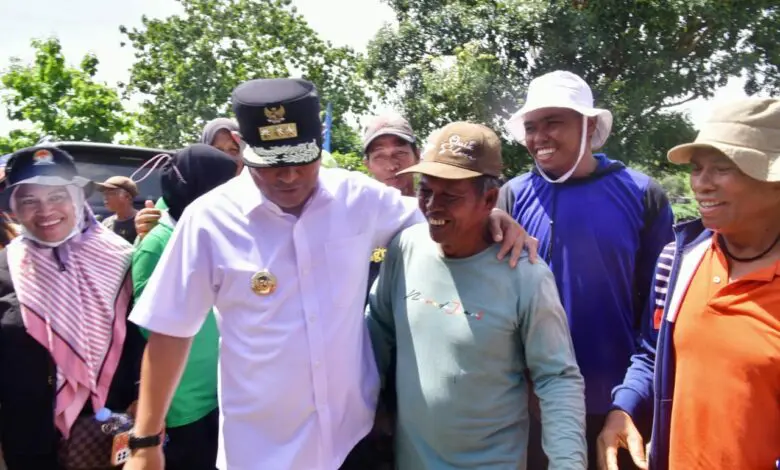 Petani Sidrap Tanam Pisang Cavendish Tumpang Sari Kacang Tanah Petani Sidrap Tanam Pisang Cavendish Tumpang Sari Kacang Tanah