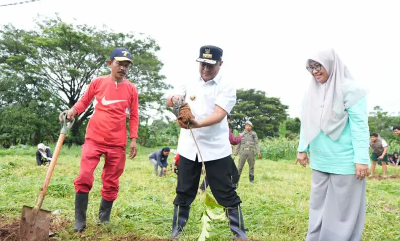 Pj Gubernur Tanam Sukun Bersama Pemuda di Sudiang Pj Gubernur Tanam Sukun Bersama Pemuda di Sudiang
