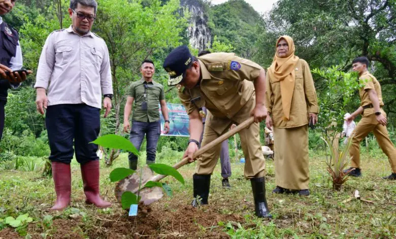 Giliran Kawasan Wisata Bantimurung Jadi Sasaran Budi Daya Sukun Giliran Kawasan Wisata Bantimurung Jadi Sasaran Budi Daya Sukun