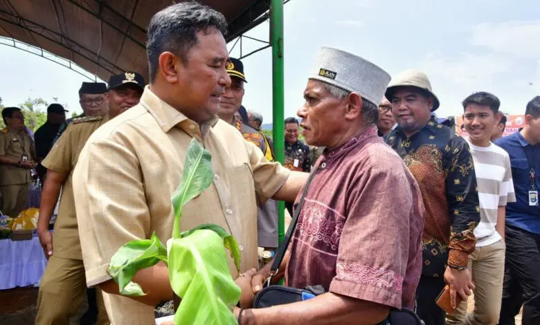 Petani Milenial Ikut Tanam Pisang Cavendish di Luwu Timur Petani Milenial Ikut Tanam Pisang Cavendish di Luwu Timur