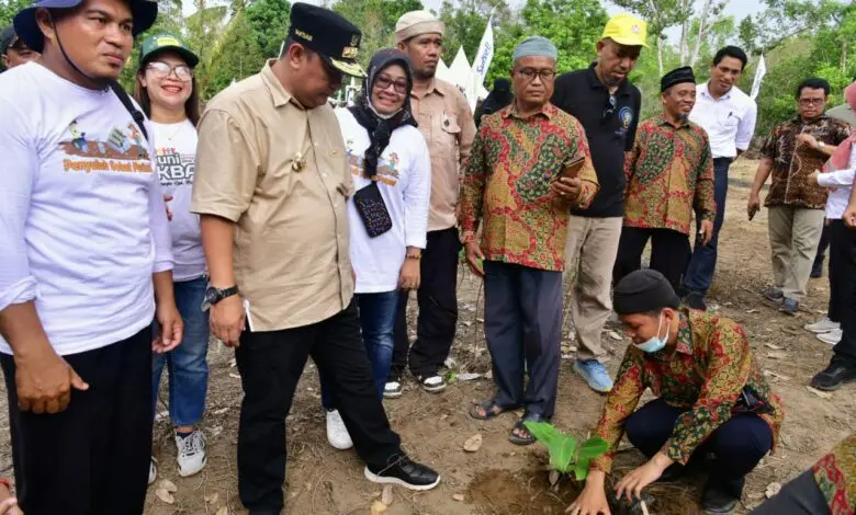 Pj Gubernur Sulsel Ajak Santri di Lutra Terlibat Budidaya Pisang Cavendish Pj Gubernur Sulsel Ajak Santri di Lutra Terlibat Budidaya Pisang Cavendish