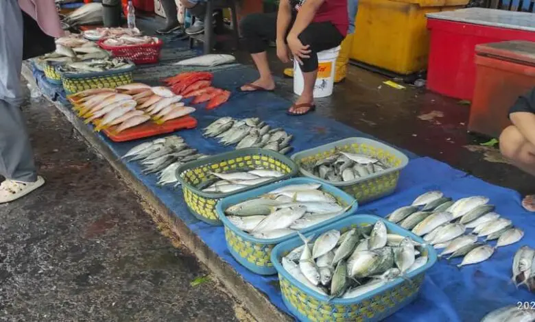 Cuaca Ekstrem, Harga Ikan Laut di Makassar Melonjak Tajam Cuaca Ekstrem, Harga Ikan Laut di Makassar Melonjak Tajam