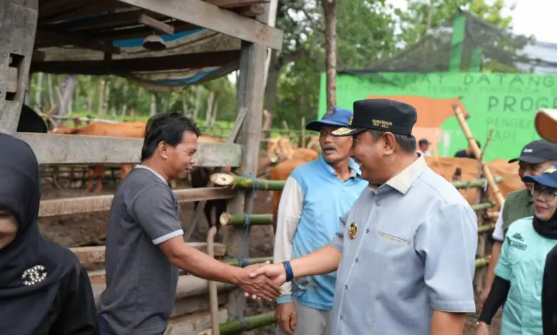 Program Inseminasi Buatan Diharap Tingkatkan Produksi Peternakan di Bulukumba Program Inseminasi Buatan Diharap Tingkatkan Produksi Peternakan di Bulukumba