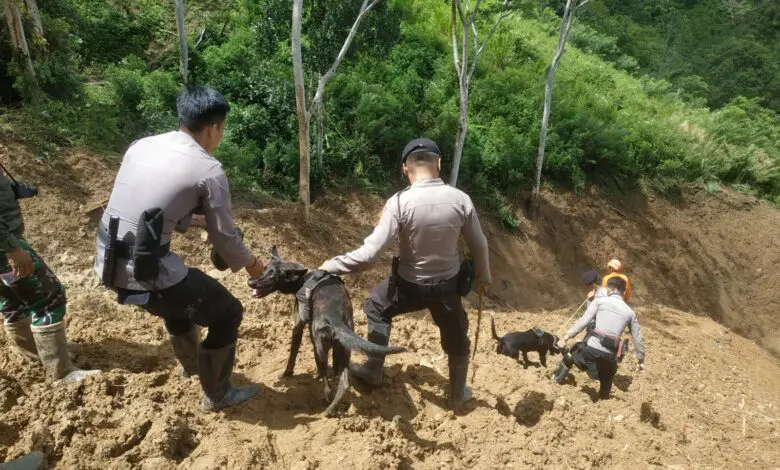 Korban Longsor di Luwu Menjadi 23 Orang, K9 Polda Sulsel Diturunkan Korban Longsor di Luwu Menjadi 23 Orang, K9 Polda Sulsel Diturunkan