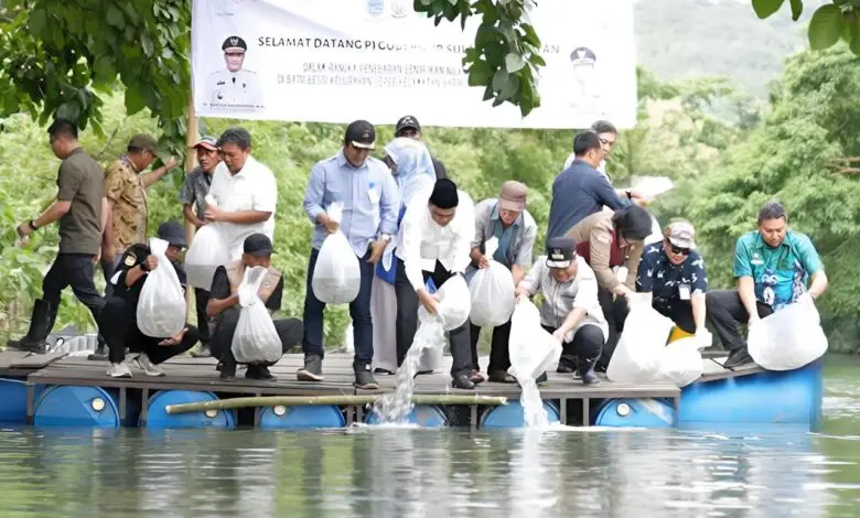 200 Ribu Benih Ikan Nila Ditebar di Barru 200 Ribu Benih Ikan Nila Ditebar di Barru