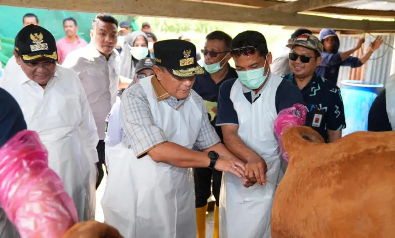 Melalui Inseminasi Buatan, Pj Gubernur Sulsel Dorong Peternak Naik Kelas Jadi Pengusaha Melalui Inseminasi Buatan, Pj Gubernur Sulsel Dorong Peternak Naik Kelas Jadi Pengusaha