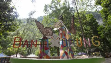 Di Taman Nasional Bantimurung, pengunjung dapat melihat "kerajaan kupu-kupu"