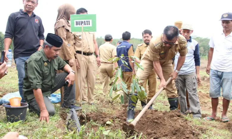 Bukan Hanya Bibit Unggul, Petani Bulukumba Juga Dibantu Pembersihan Lahan (Foto: Pemprov Sulsel)