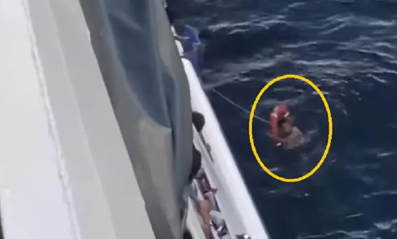 Seorang Pemudik Asal Bulukumba Nekat Lompat ke Laut Saat Kapal Berlabuh di Pelabuhan Parepare Seorang Pemudik Asal Bulukumba Nekat Lompat ke Laut Saat Kapal Berlabuh di Pelabuhan Parepare