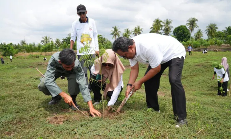 Rekor! Sulsel Tanam 2 Juta Pohon di Hari Bumi, Terbesar di Indonesia Rekor! Sulsel Tanam 2 Juta Pohon di Hari Bumi, Terbesar di Indonesia