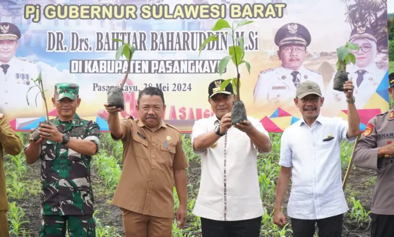 Pj Gubernur Bahtiar: Dari Sulbar Kita Dorong Sukun Jadi Komoditi Kebanggaan Indonesia Pj Gubernur Bahtiar: Dari Sulbar Kita Dorong Sukun Jadi Komoditi Kebanggaan Indonesia