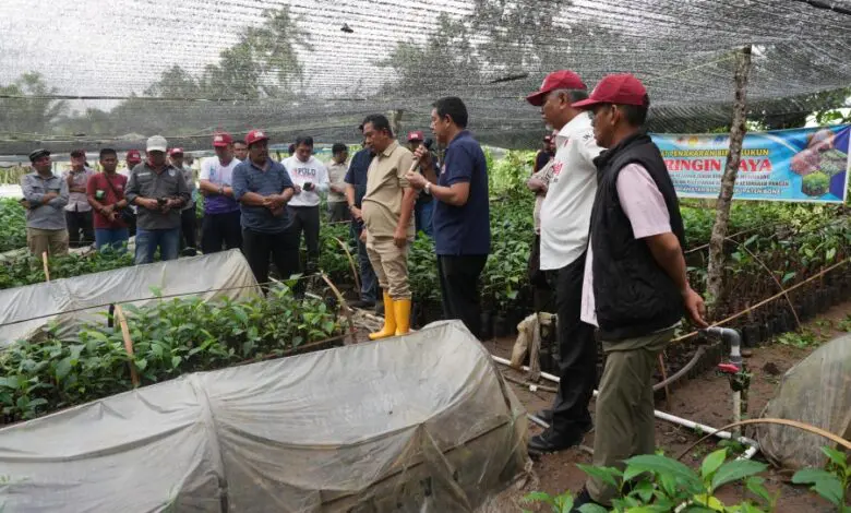 Hari Kedua, OPD Pemprov Sulbar Tinjau Sentra Pembibitan Sukun di Bone Hari Kedua, OPD Pemprov Sulbar Tinjau Sentra Pembibitan Sukun di Bone