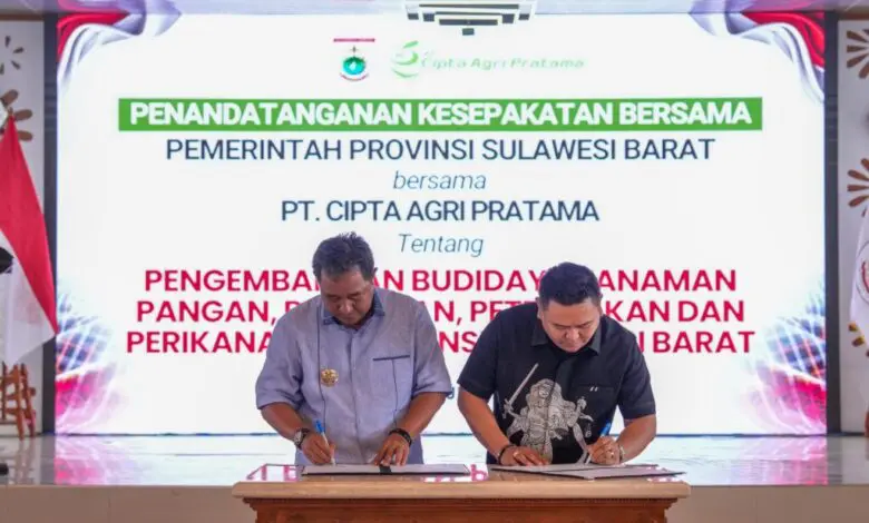 Pemprov Sulbar-PT Cipta Agri Pratama Kerja Sama Tanam 2 Juta Pisang Cavendish Pemprov Sulbar-PT Cipta Agri Pratama Kerja Sama Tanam 2 Juta Pisang Cavendish