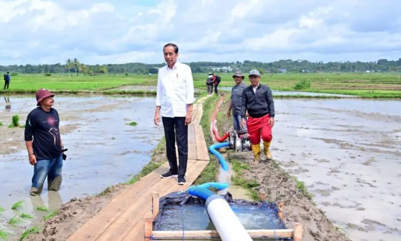 Jokowi Tinjau Pelaksanaan Bantuan Pompa, Petani Sulsel Semringah Jokowi Tinjau Pelaksanaan Bantuan Pompa, Petani Sulsel Semringah