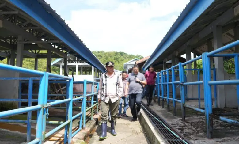 Pj Gubenur Bahtiar Segera Wujudkan Pembentukan Dinas Peternakan Sulbar Pj Gubenur Bahtiar Segera Wujudkan Pembentukan Dinas Peternakan Sulbar