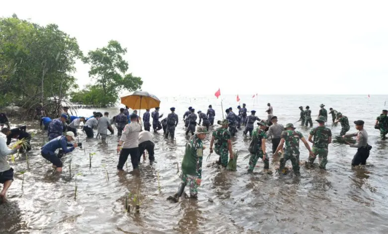 Merdeka dari Pemanasan Global, Pj Gubernur Sulbar Tanam 20.000 Mangrove Merdeka dari Pemanasan Global, Pj Gubernur Sulbar Tanam 20.000 Mangrove