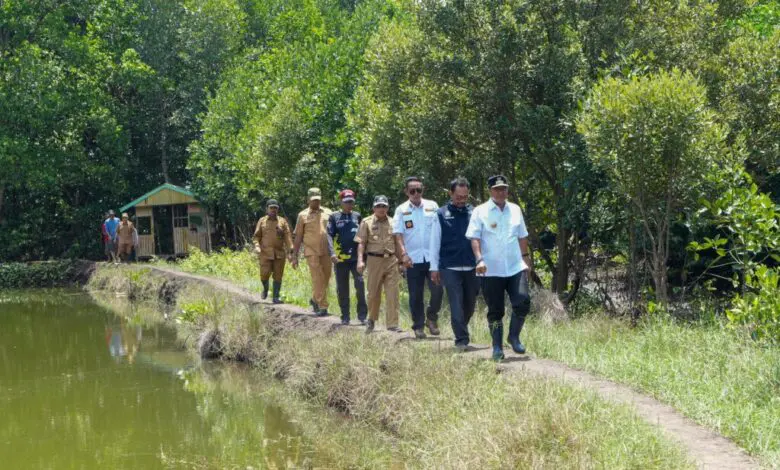 Sulbar Canangkan Aksi Sepekan Menanam Mangrove Sulbar Canangkan Aksi Sepekan Menanam Mangrove