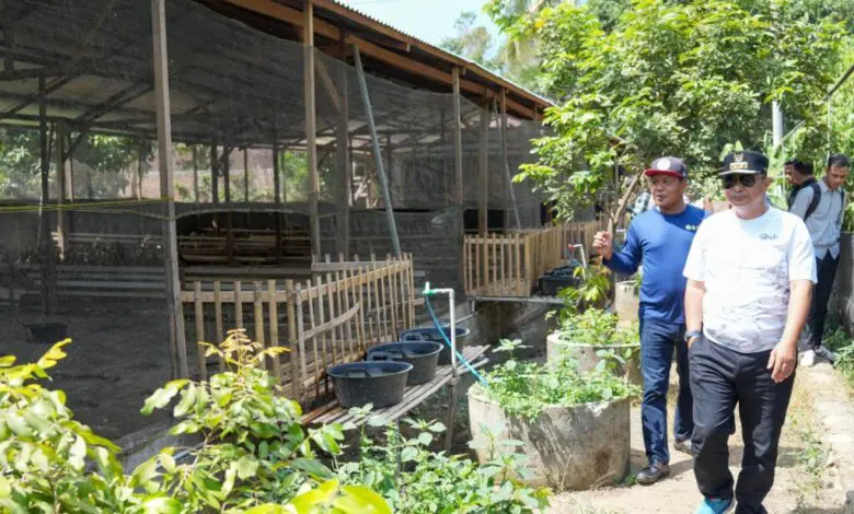 Datangi Petani-Peternak di Tiga Titik, Pj Gubernur Bahtiar Serap Aspirasi Mereka Datangi Petani-Peternak di Tiga Titik, Pj Gubernur Bahtiar Serap Aspirasi Mereka