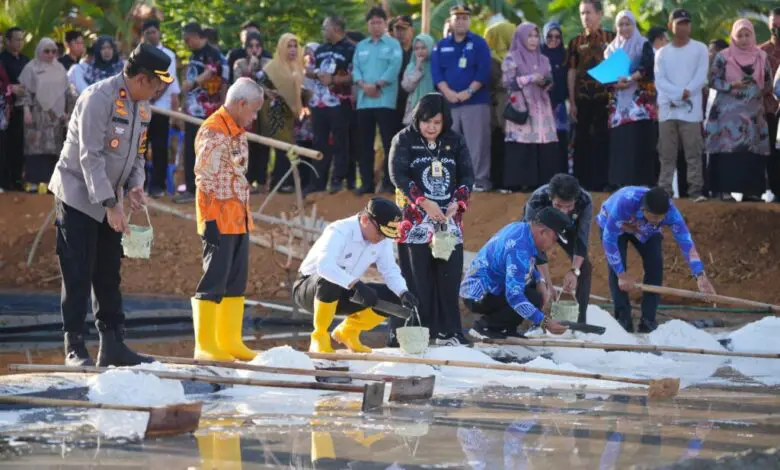 Zudan Ajak Lintas Stakeholder Kembangkan Potensi Garam di Sulsel Zudan Ajak Lintas Stakeholder Kembangkan Potensi Garam di Sulsel