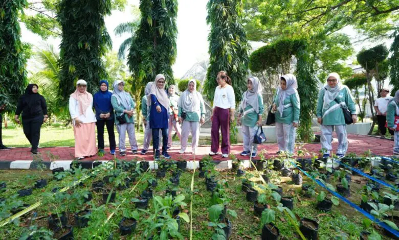 Ninuk Zudan Launching Kebun “Aku Hatinya PKK” di Rujab Gubernur Sulsel Ninuk Zudan Launching Kebun “Aku Hatinya PKK” di Rujab Gubernur Sulsel