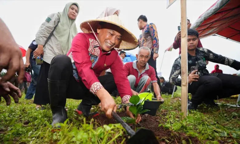 12,5 Juta Lebih Pohon Telah Ditanam Pemprov Sulsel di Hutan Rakyat, Daerah Aliran Sungai dan Kebun Bibit Rakyat 12,5 Juta Lebih Pohon Telah Ditanam Pemprov Sulsel di Hutan Rakyat, Daerah Aliran Sungai dan Kebun Bibit Rakyat