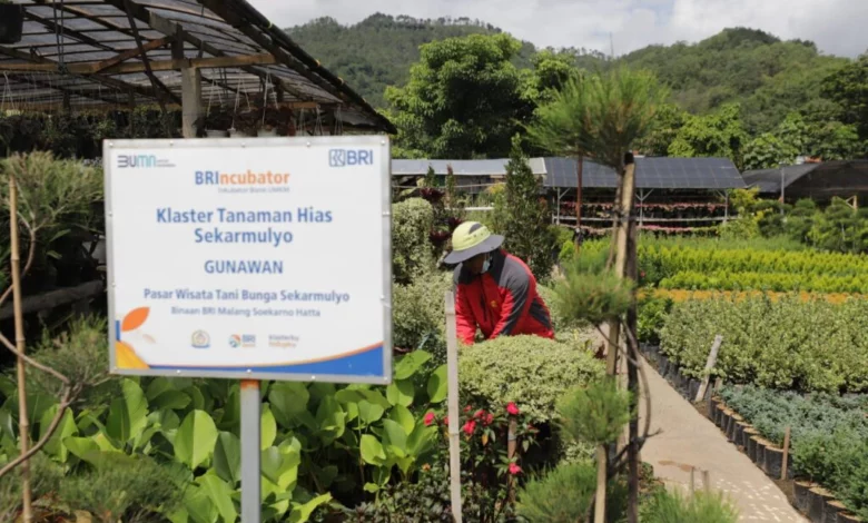 Terbesar di Indonesia, Portofolio Sustainable Finance BRI Tembus Rp796 Triliun Terbesar di Indonesia, Portofolio Sustainable Finance BRI Tembus Rp796 Triliun