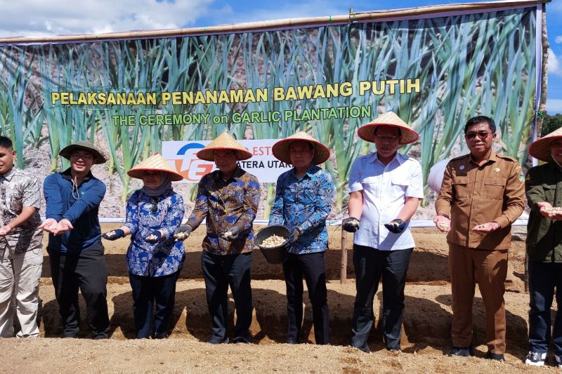 Kemenko Marves-Kantor Dagang Taiwan Jalin Kerja Sama Produksi Bawang di Sumut