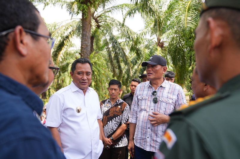 Pj Gubernur Sulsel Bahtiar: Produktifkan Lahan Tidur PTPN XIV untuk Ditanami Pisang