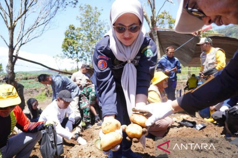 Luwu Utara Suplai Tanaman Holtikultura Kebutuhan IKN