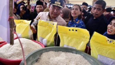 Pj Gubernur Sulsel Temukan Harga Beras Stabil di Kabupaten Maros