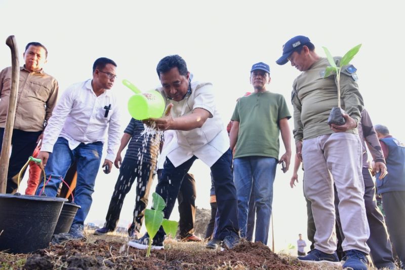Sulsel Undang Pihak Swasta Berinvestasi di Budidaya Pisang