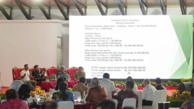 Sulsel Gandeng OJK Bangun Ekosistem Bisnis Budidaya Pisang