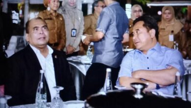 Wamendes PDTT Dukung Program Budidaya Pisang di Sulsel